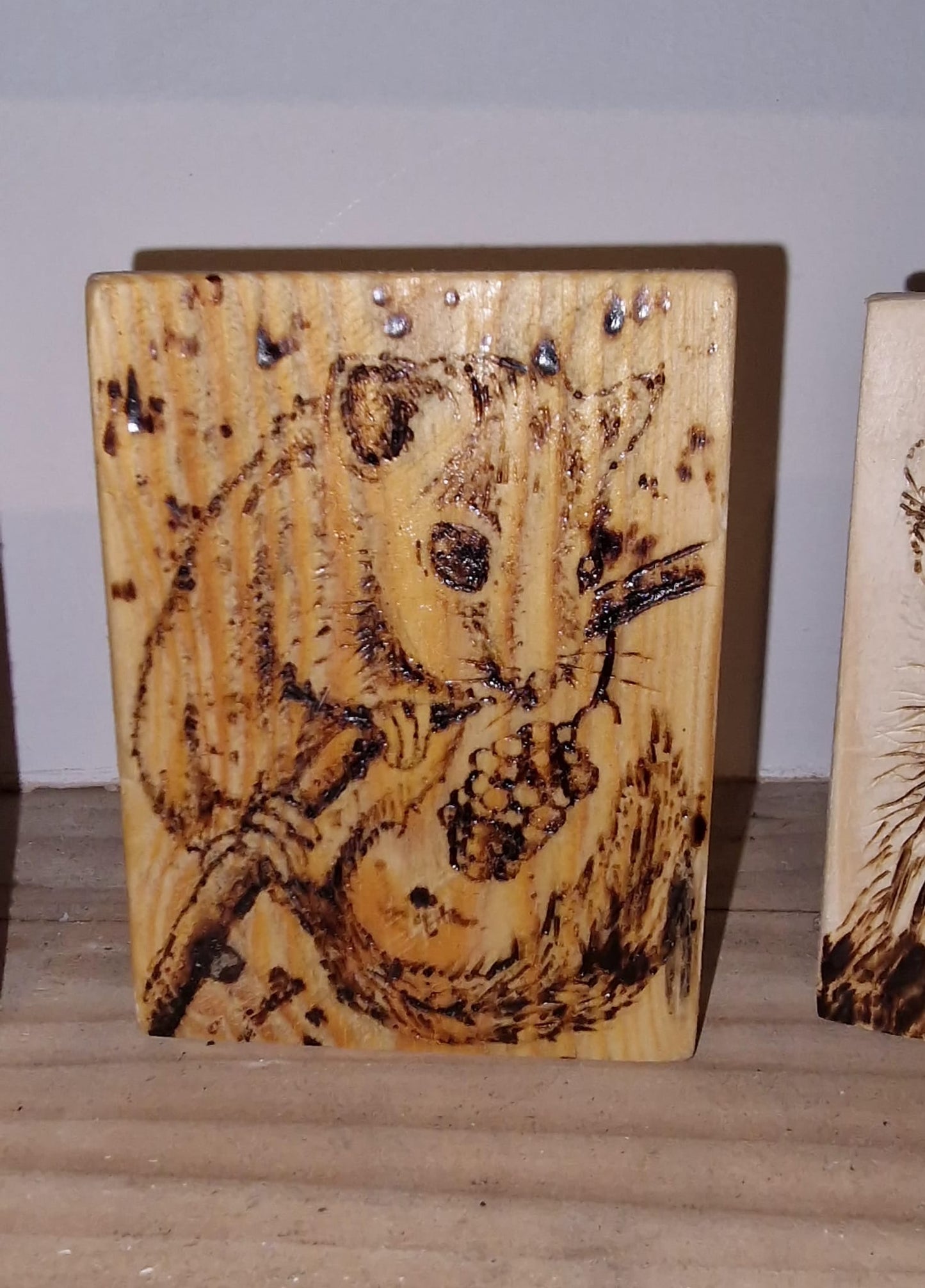 Handmade Pine Wood Burnt Coasters Or Picture - Custom Wild Animal or Pet Portraits