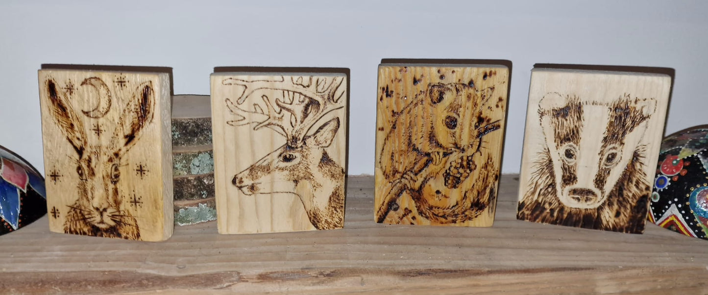 Handmade Pine Wood Burnt Coasters Or Picture - Custom Wild Animal or Pet Portraits