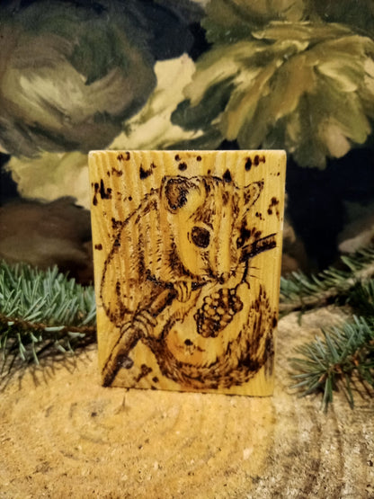 Handmade Pine Wood Burnt Coasters Or Picture  - Custom Wild Animal or Pet Portraits