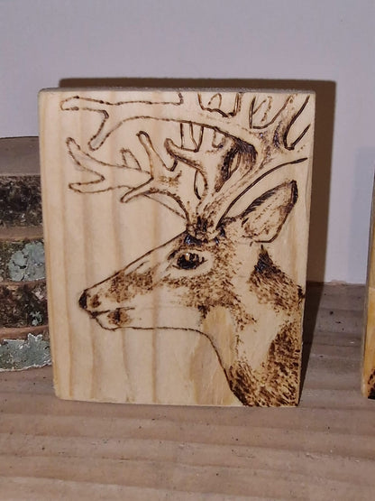 Handmade Pine Wood Burnt Coasters Or Picture  - Custom Wild Animal or Pet Portraits