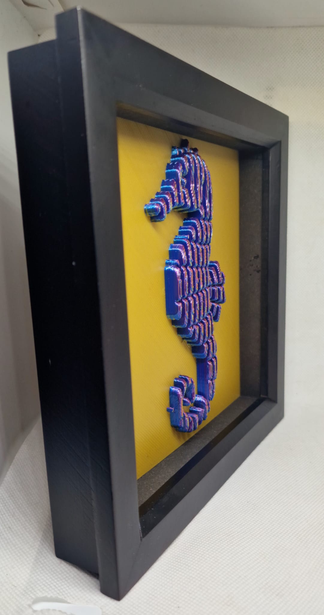 Vibrant 3D Quad Colour Seahorse – Castal Shadow Box Wall Art