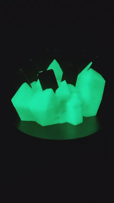 Nintendo Switch glow in the dark crystal Game card holder 10 games